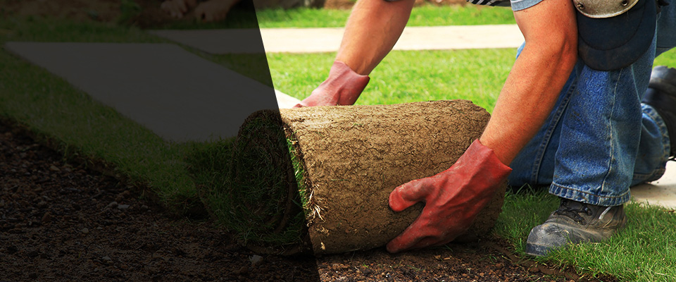 Selmer Landscapers